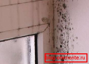 Погрешно отстранување на влагата од собата Погрешно отстранување на влагата од собата