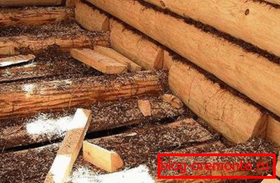 Ние расклопуваме стариот слој Ние расклопуваме стариот слој