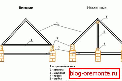 Видови на скелиња